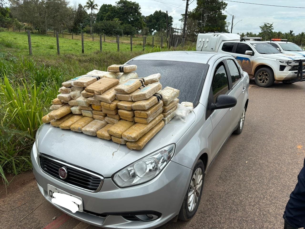 87 tabletes de substância entorpecente de cor esverdeada , possivelmente maconha.
