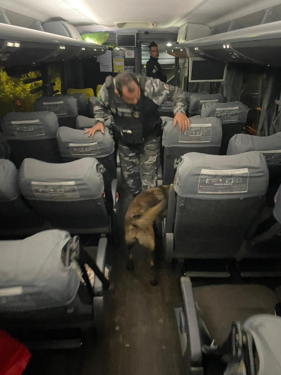 Cão policial detecta drogas em ônibus intermunicipal. Foto: reprodução